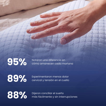 Sleepy Essential®
