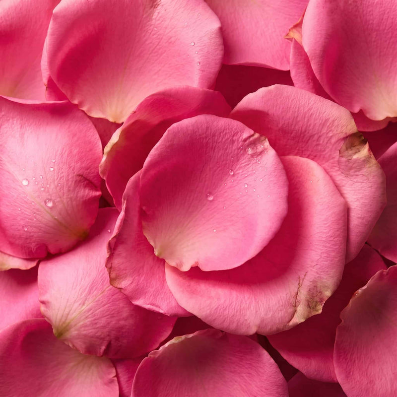 Aceite de rosa